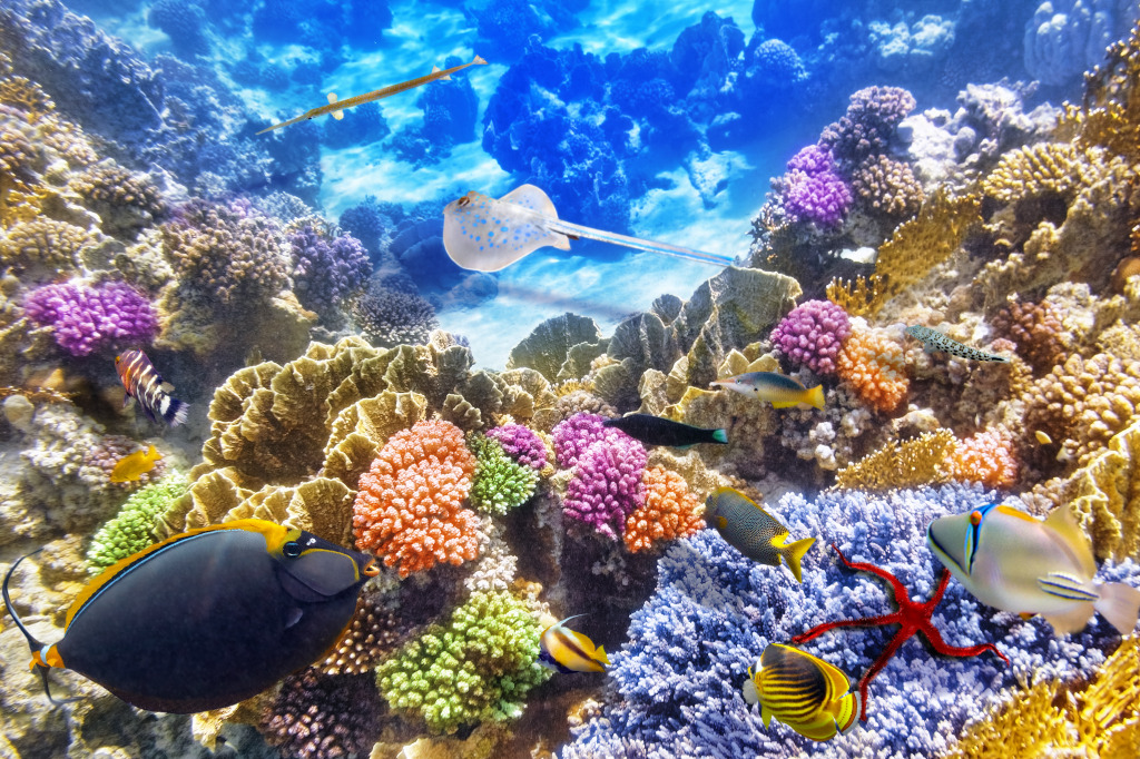 Underwater World jigsaw puzzle in Under the Sea puzzles on TheJigsawPuzzles.com