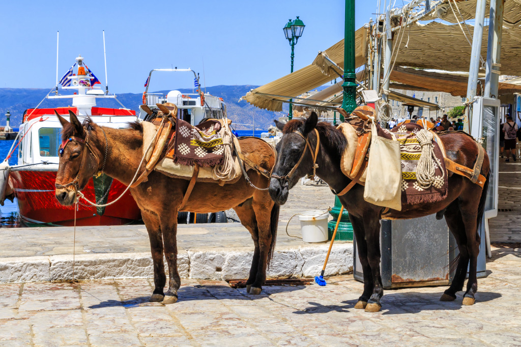 Hydra Island, Saronic Gulf, Greece jigsaw puzzle in Animals puzzles on TheJigsawPuzzles.com