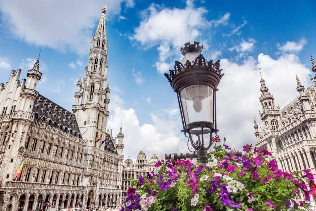 Grand Place in Brussels, Belgium jigsaw puzzle in Puzzle of the Day puzzles on TheJigsawPuzzles.com