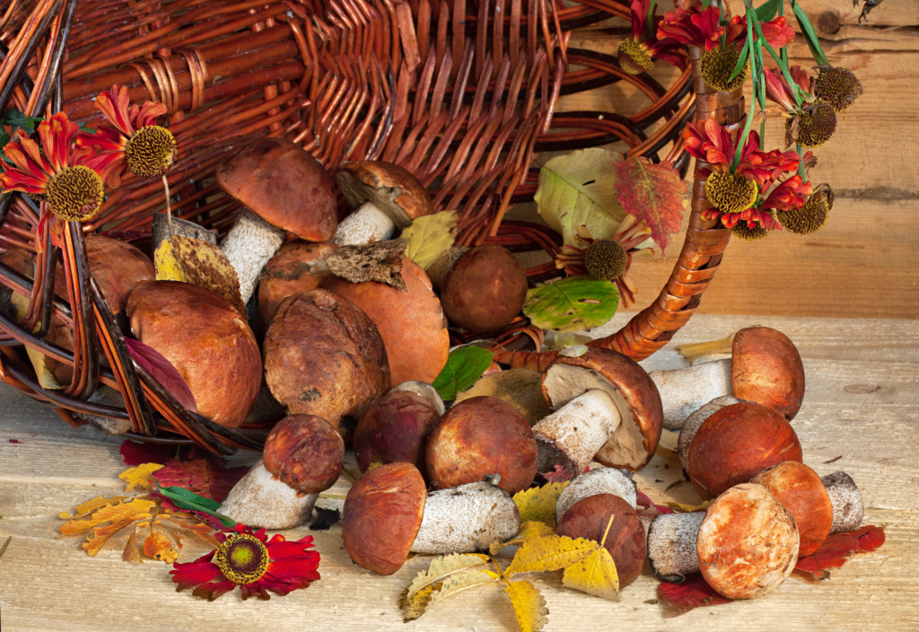 Basket of Mushrooms jigsaw puzzle in Fruits & Veggies puzzles on TheJigsawPuzzles.com