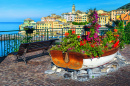 Bogliasco, Liguria, Italy