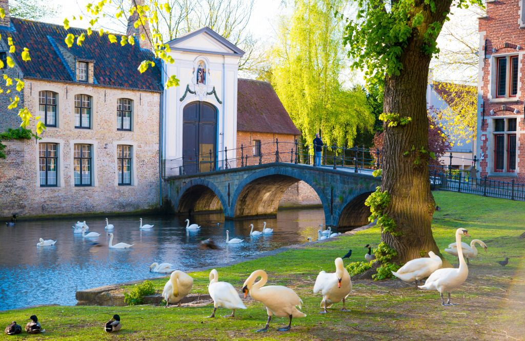 Lake of Love in Bruges, Belgium jigsaw puzzle in Bridges puzzles on TheJigsawPuzzles.com