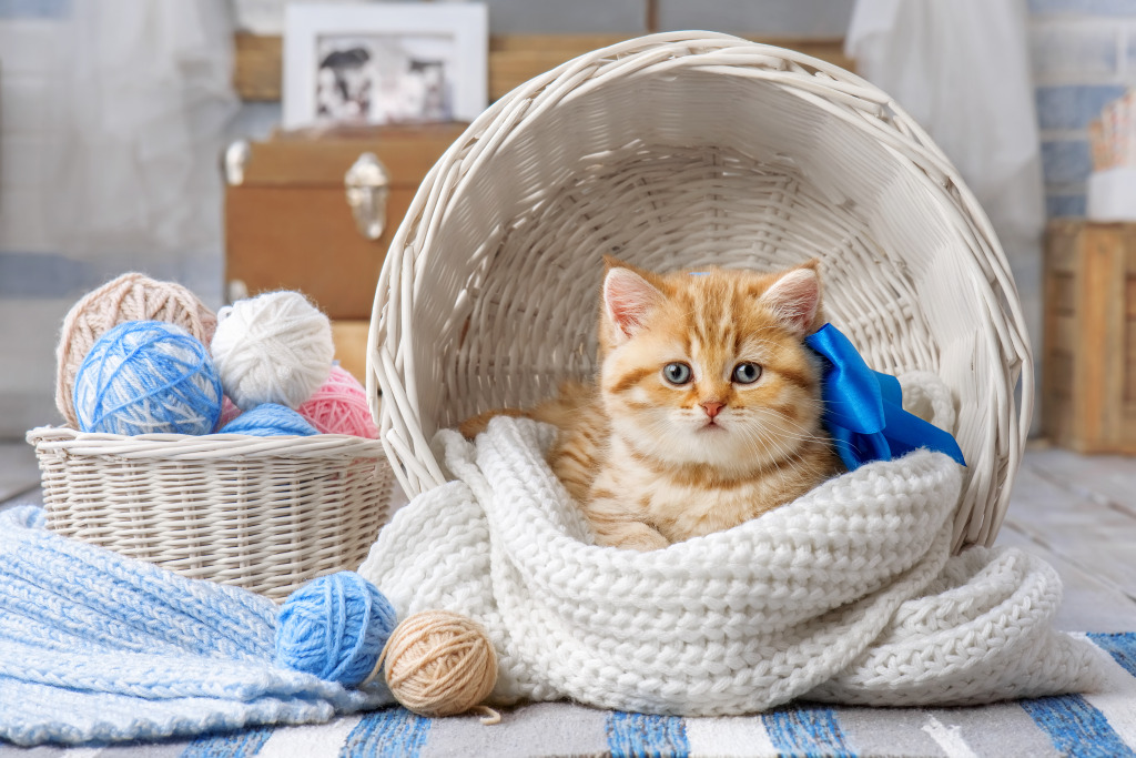 Striped Kitten in a Basket jigsaw puzzle in Animals puzzles on TheJigsawPuzzles.com