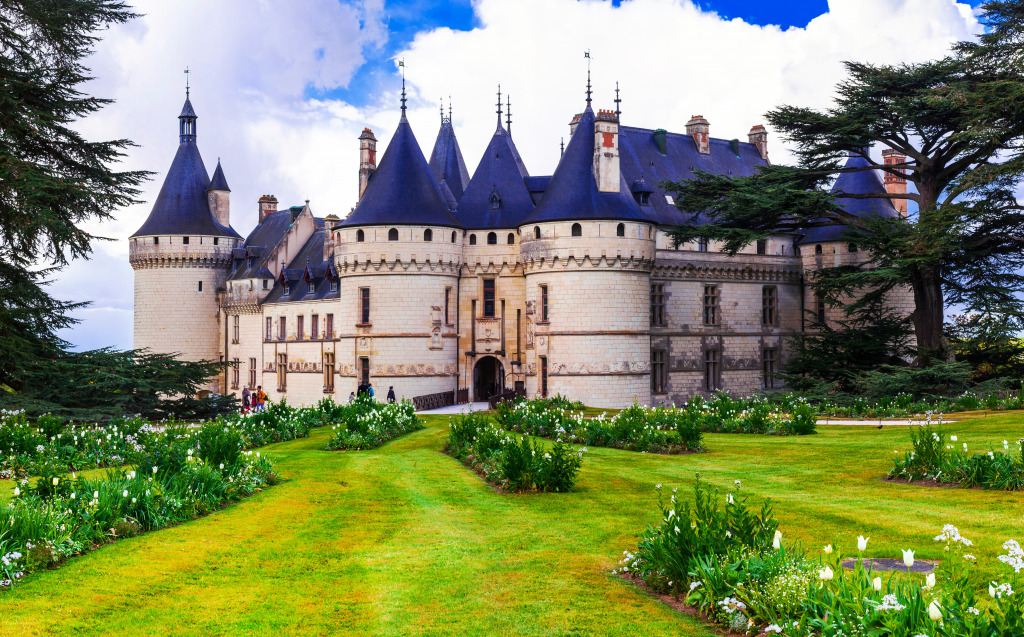 Chaumont-sur-Loire Castle, Loire Valley, France jigsaw puzzle in Castles puzzles on TheJigsawPuzzles.com