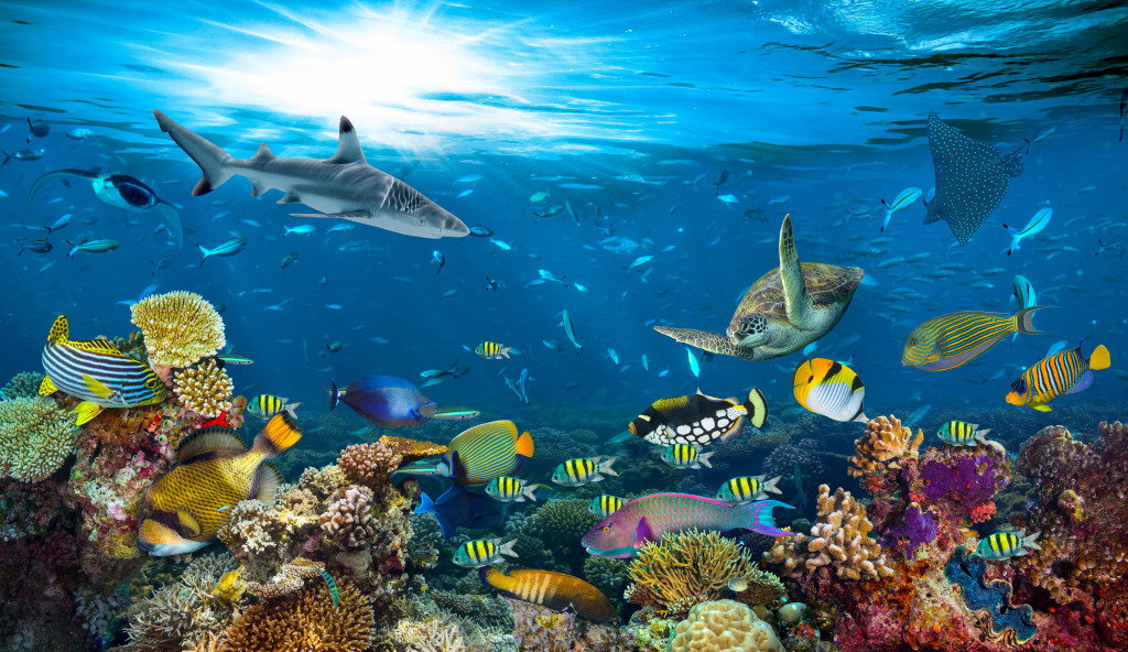 Coral Reef Wildlife jigsaw puzzle in Under the Sea puzzles on TheJigsawPuzzles.com
