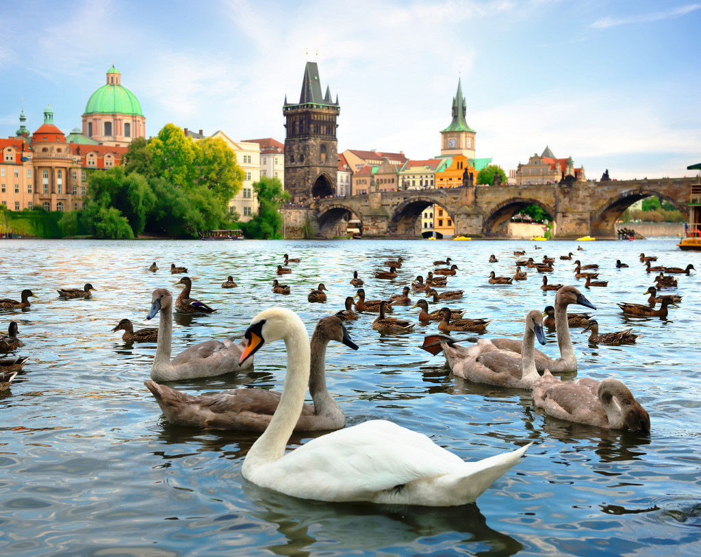 Charles Bridge and Swans, Prague jigsaw puzzle in Puzzle of the Day puzzles on TheJigsawPuzzles.com