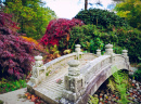 Bridge in the Japanese Garden