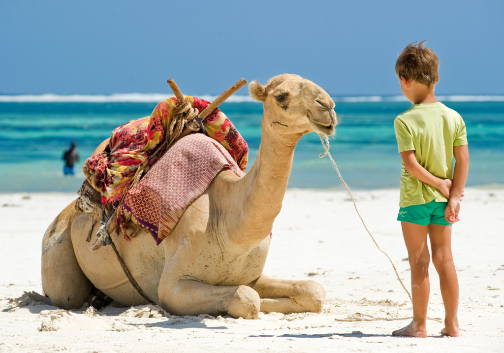 Kid and Camel On the Beach jigsaw puzzle in Animals puzzles on TheJigsawPuzzles.com