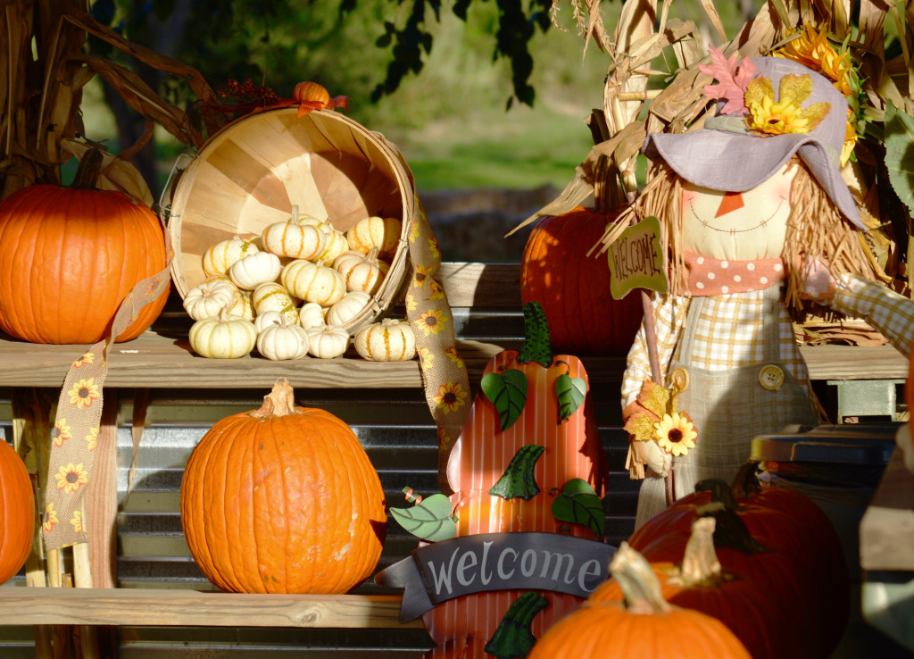 Texas Pumpkin Patch jigsaw puzzle in Halloween puzzles on TheJigsawPuzzles.com