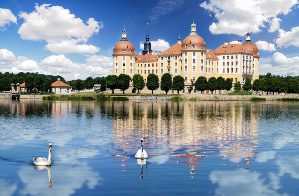 Moritzburg Castle near Dresden, Germany jigsaw puzzle in Castles puzzles on TheJigsawPuzzles.com