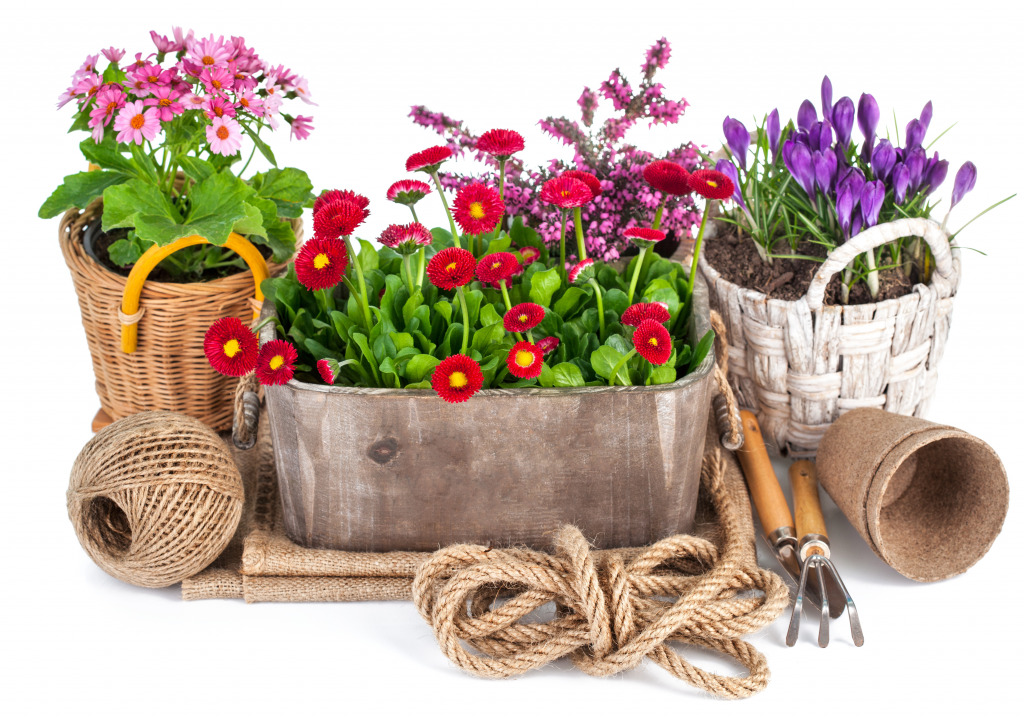Spring Flowers and Garden Tools jigsaw puzzle in Flowers puzzles on TheJigsawPuzzles.com