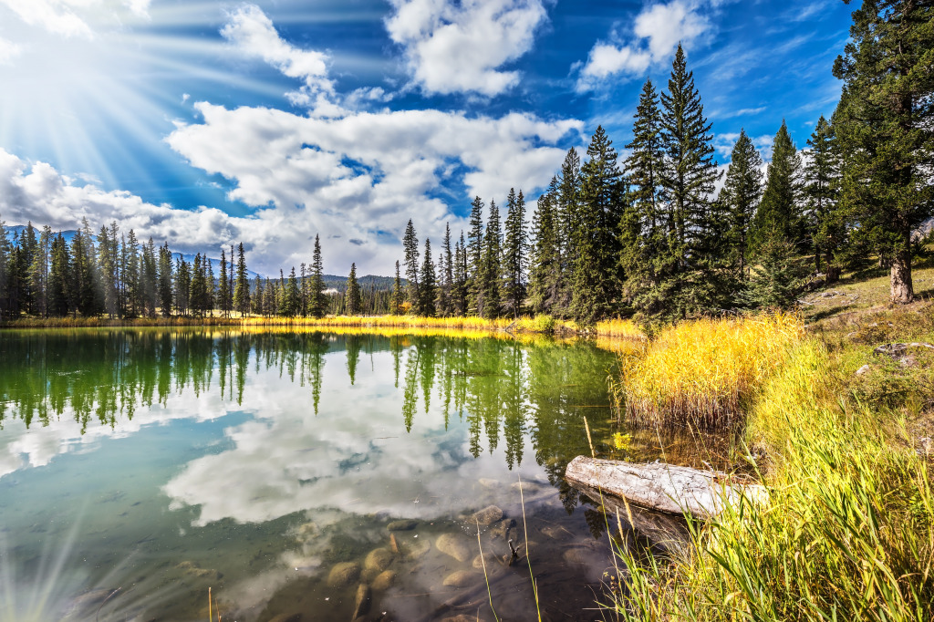 Jasper National Park, Alberta, Canada jigsaw puzzle in Great Sightings puzzles on TheJigsawPuzzles.com