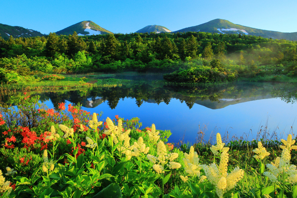 Japanese Azalea, Aomori Prefecture jigsaw puzzle in Great Sightings puzzles on TheJigsawPuzzles.com