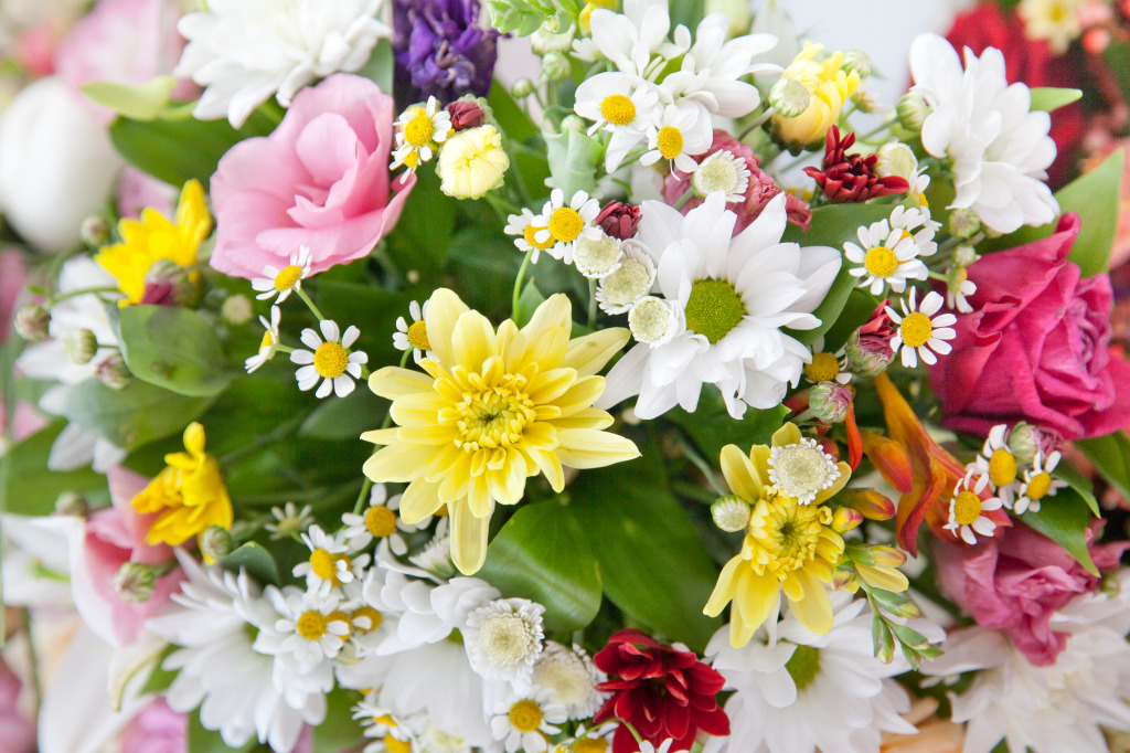 Bouquet of Daisies and Chrysanthemums jigsaw puzzle in Flowers puzzles on TheJigsawPuzzles.com