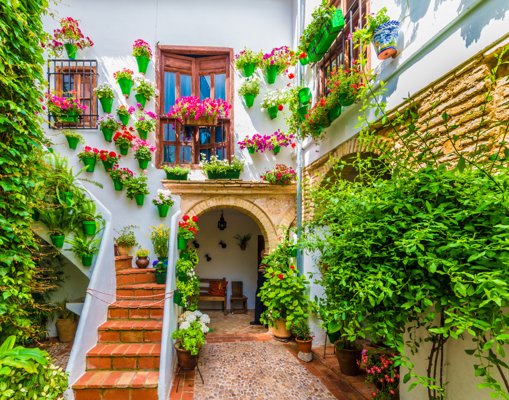 Courtyard with Flower in Cordoba, Spain jigsaw puzzle in Flowers puzzles on TheJigsawPuzzles.com