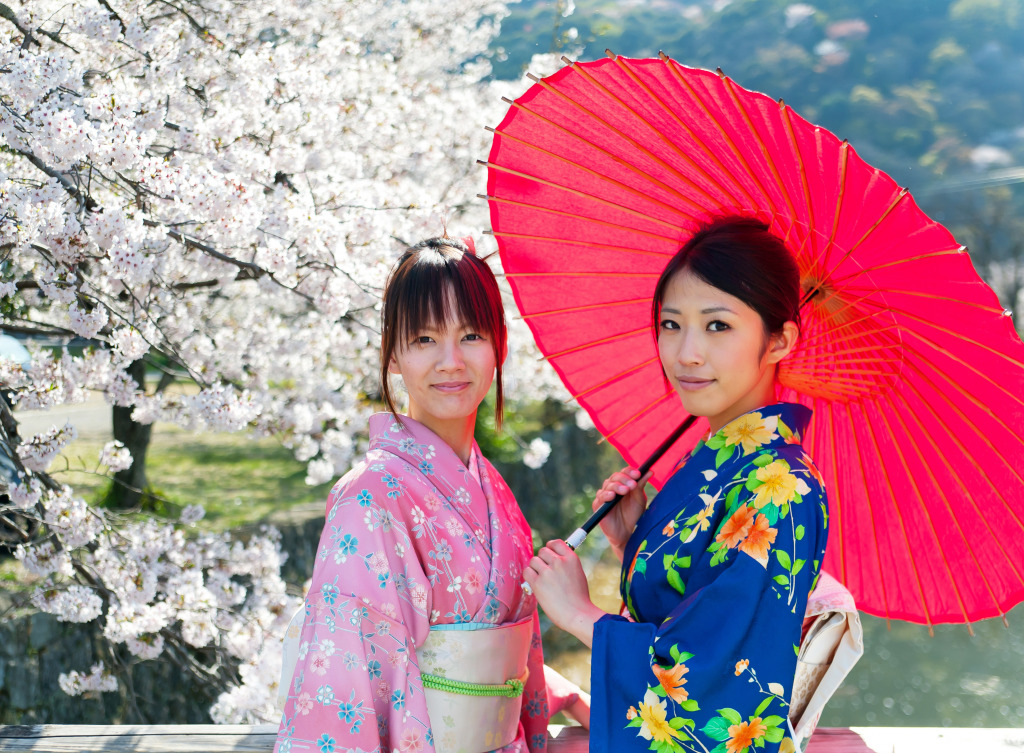 Japanese Women on the Bridge jigsaw puzzle in People puzzles on TheJigsawPuzzles.com