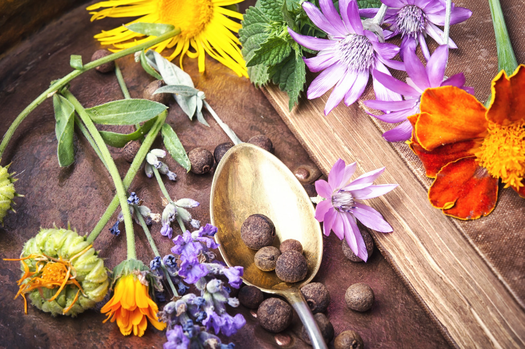 Herbal Medicine jigsaw puzzle in Puzzle of the Day puzzles on TheJigsawPuzzles.com