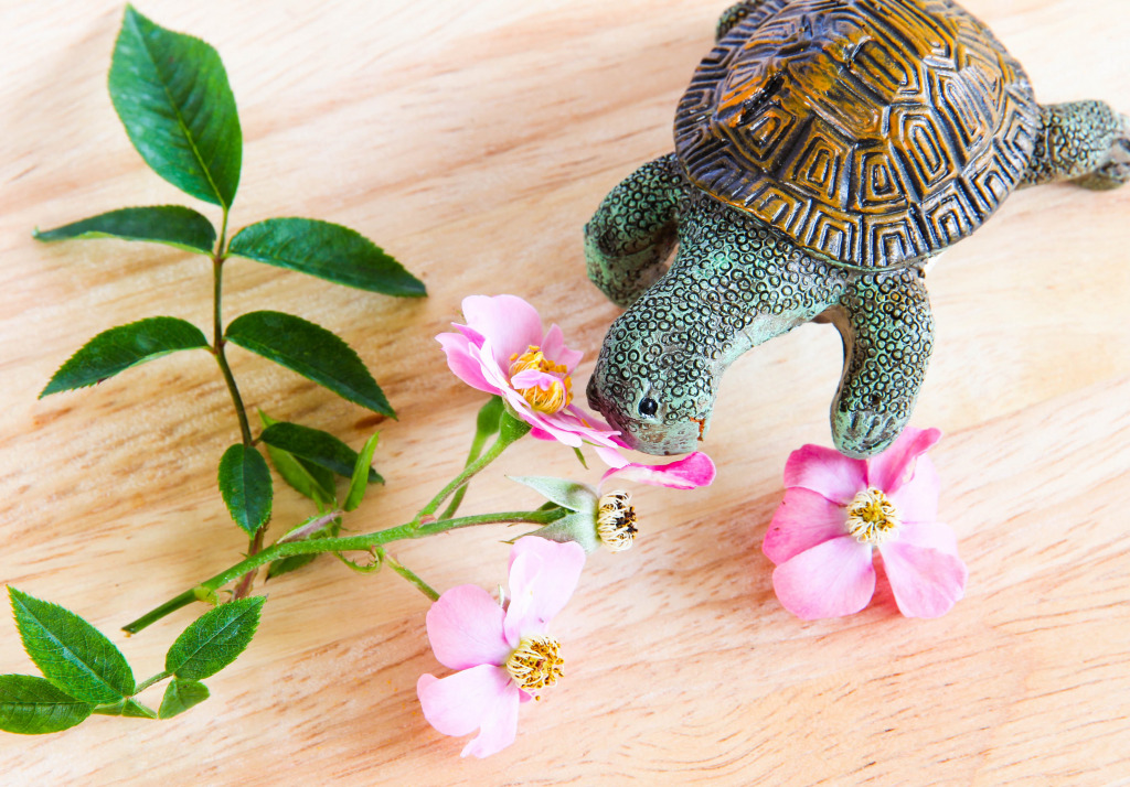 Turtle Figurine jigsaw puzzle in Macro puzzles on TheJigsawPuzzles.com