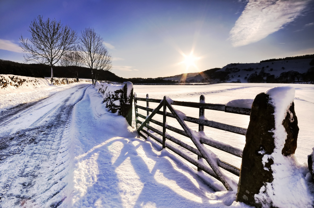 Snow Covered Road jigsaw puzzle in Great Sightings puzzles on TheJigsawPuzzles.com