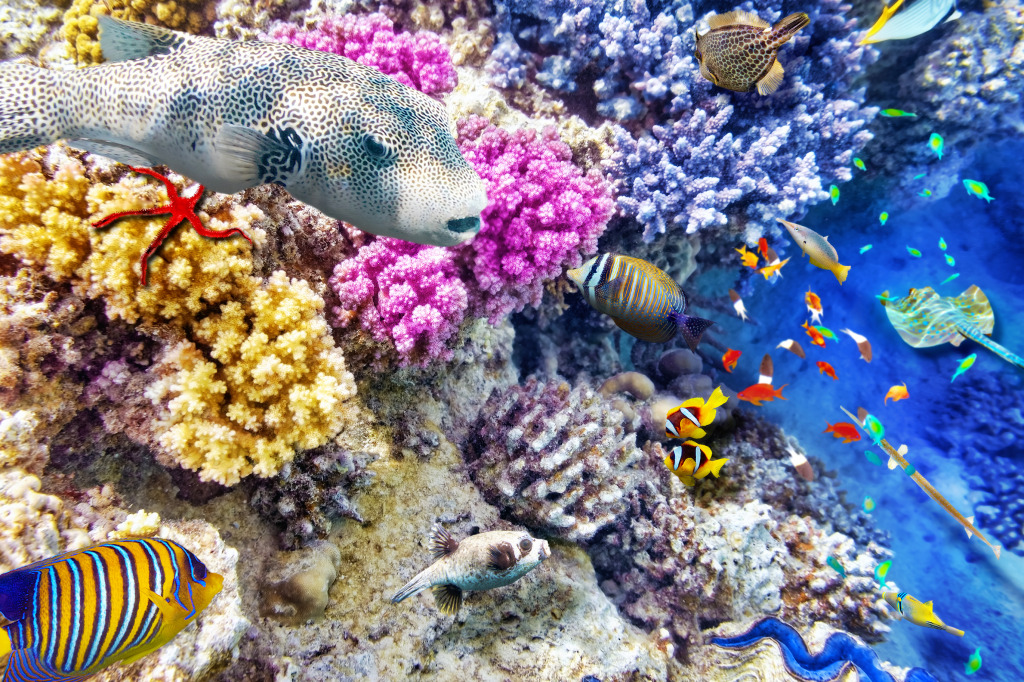 Wonderful Underwater World jigsaw puzzle in Under the Sea puzzles on TheJigsawPuzzles.com