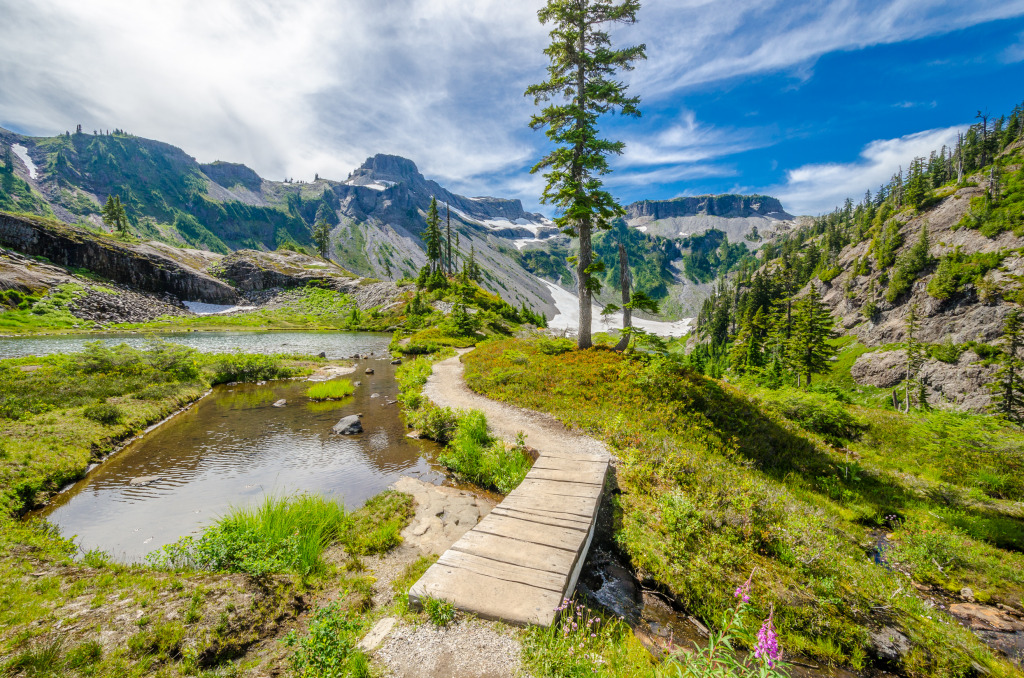 Bagley Lake Trail Park, Washington jigsaw puzzle in Great Sightings puzzles on TheJigsawPuzzles.com