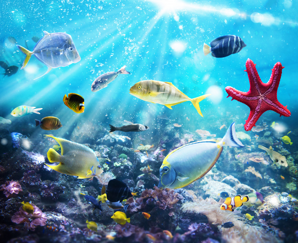 Marine Life jigsaw puzzle in Under the Sea puzzles on TheJigsawPuzzles.com