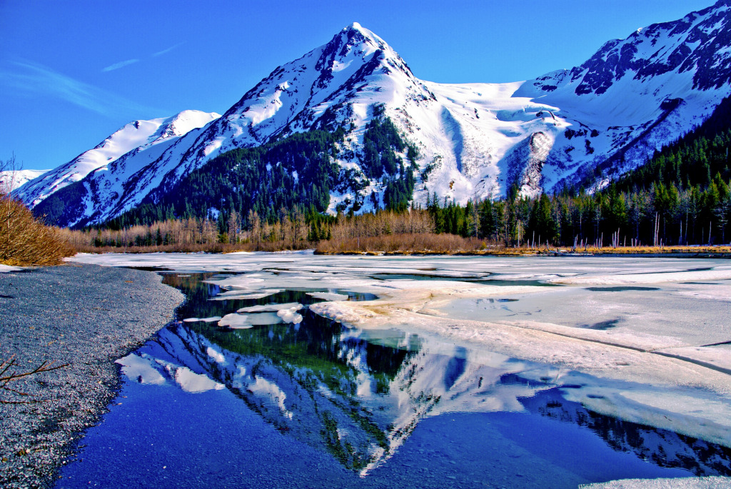 Great Alaskan Wilderness jigsaw puzzle in Great Sightings puzzles on TheJigsawPuzzles.com