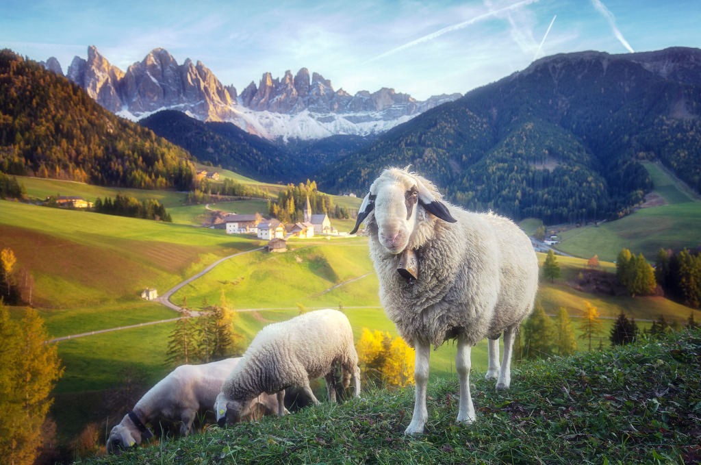 Santa Maddalena Village, Dolomites, Italy jigsaw puzzle in Animals puzzles on TheJigsawPuzzles.com