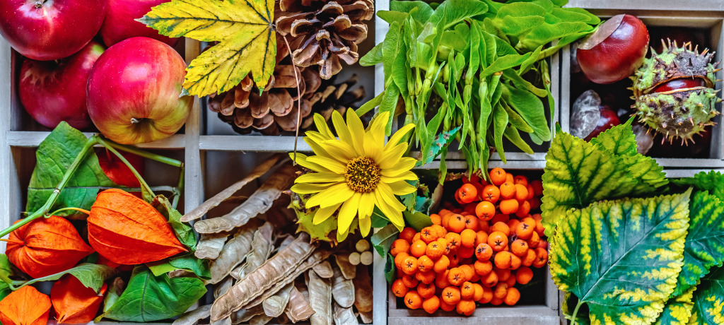 Autumnal Still Life jigsaw puzzle in Fruits & Veggies puzzles on TheJigsawPuzzles.com