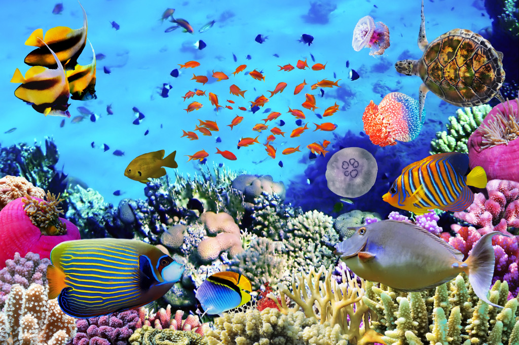 Coral Reef with Fishes and Sea Turtle jigsaw puzzle in Under the Sea puzzles on TheJigsawPuzzles.com
