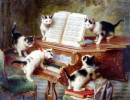 The Kittens Recital