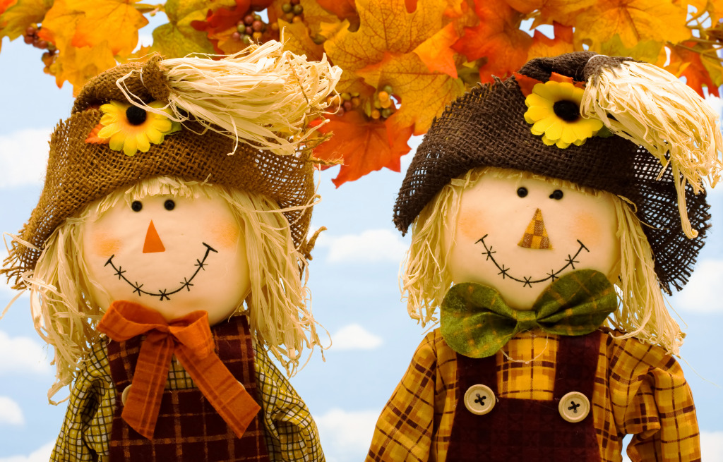 A Couple of Scarecrows jigsaw puzzle in Macro puzzles on TheJigsawPuzzles.com