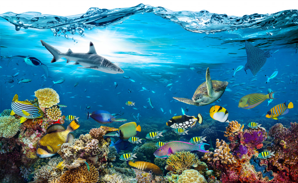 Underwater Paradise jigsaw puzzle in Under the Sea puzzles on TheJigsawPuzzles.com