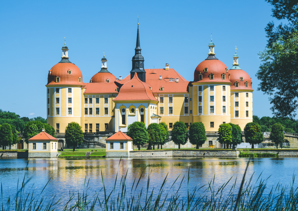 Castle Moritzburg near Dresden, Germany jigsaw puzzle in Castles puzzles on TheJigsawPuzzles.com