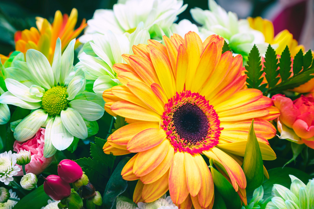 White and Orange Gerberas jigsaw puzzle in Flowers puzzles on TheJigsawPuzzles.com