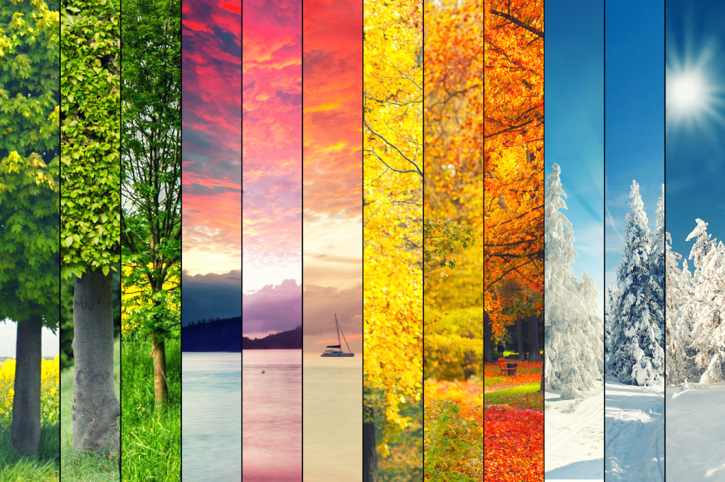 Four Seasons jigsaw puzzle in Puzzle of the Day puzzles on TheJigsawPuzzles.com