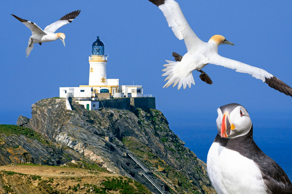 Muckle Flugga Lighthouse, Scotland jigsaw puzzle in Puzzle of the Day puzzles on TheJigsawPuzzles.com