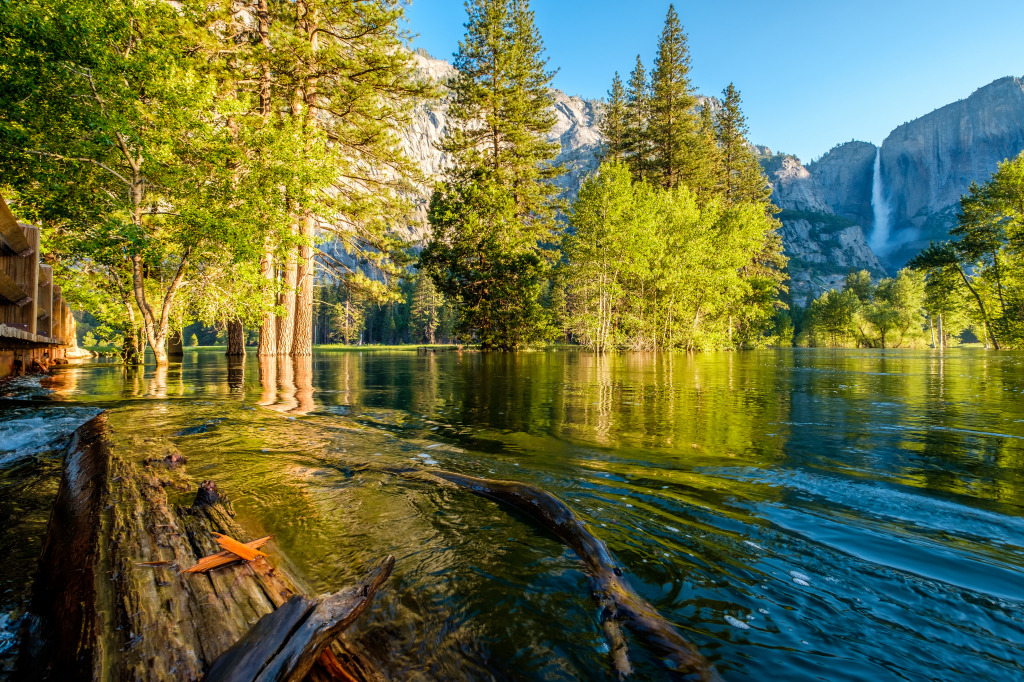 Merced River and Yosemite Falls jigsaw puzzle in Waterfalls puzzles on TheJigsawPuzzles.com