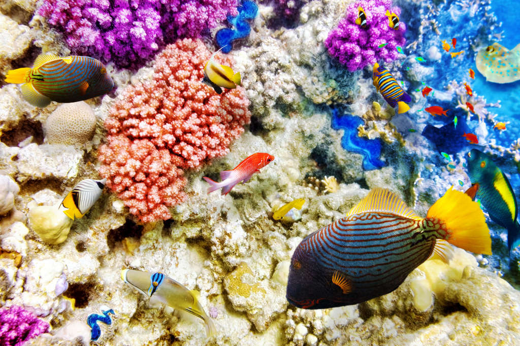 Corals and Tropical Fish jigsaw puzzle in Under the Sea puzzles on TheJigsawPuzzles.com