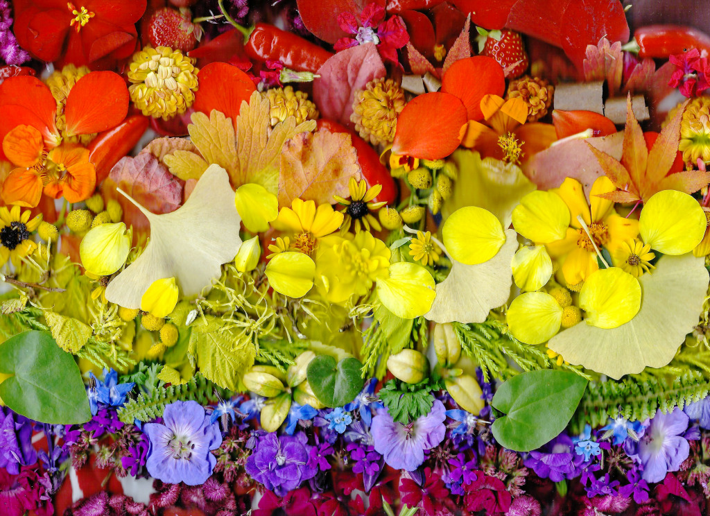 Collage of Leaves and Flowers jigsaw puzzle in Macro puzzles on TheJigsawPuzzles.com