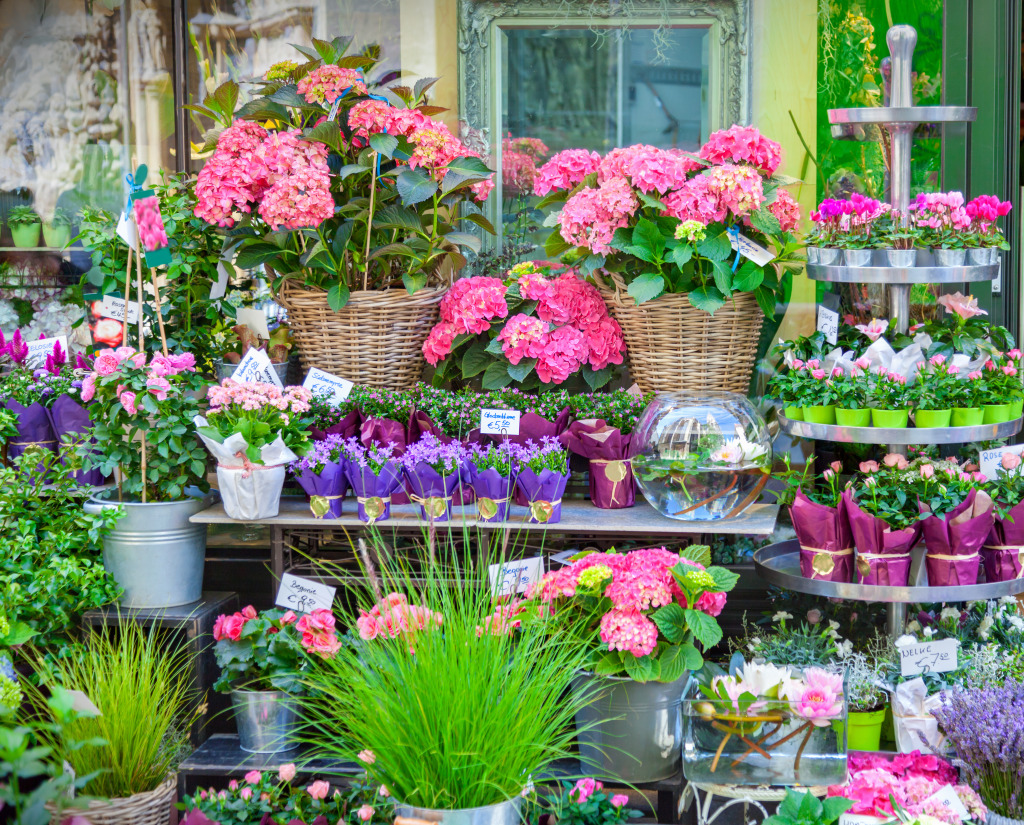 Flower Shop jigsaw puzzle in Flowers puzzles on TheJigsawPuzzles.com