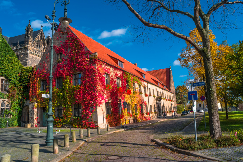 Cathedral of Magdeburg, Germany jigsaw puzzle in Street View puzzles on TheJigsawPuzzles.com