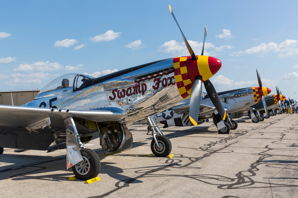 P-51 Mustang on Display, Ypsilanti, Michigan jigsaw puzzle in Aviation puzzles on TheJigsawPuzzles.com