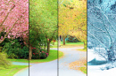 Four Seasons