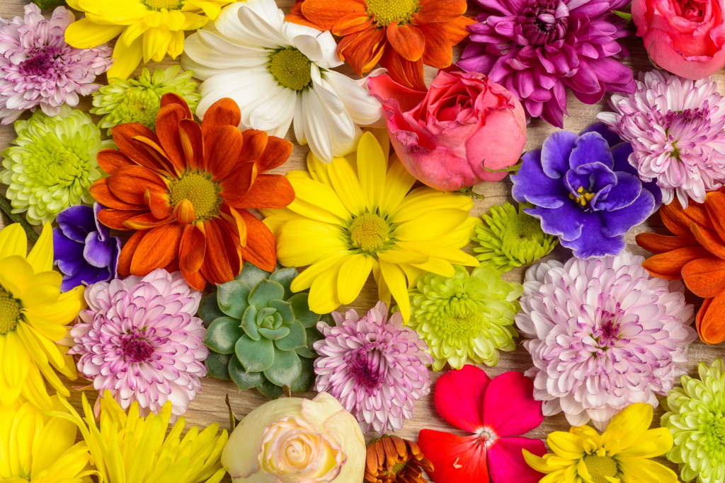 Colorful Flowers jigsaw puzzle in Puzzle of the Day puzzles on TheJigsawPuzzles.com