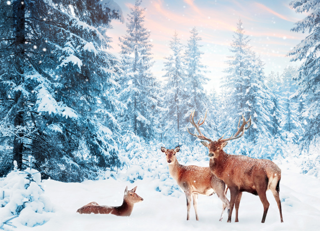 Family of Noble Deer in a Winter Forest jigsaw puzzle in Animals puzzles on TheJigsawPuzzles.com