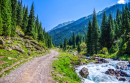 Mountain Road Landscape