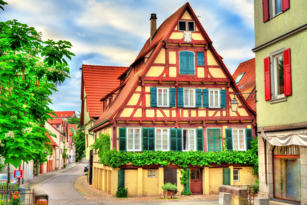 Tuebingen, Germany jigsaw puzzle in Street View puzzles on TheJigsawPuzzles.com