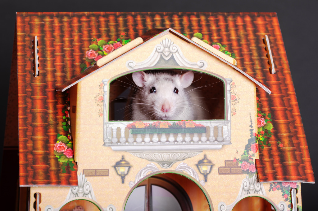 Mouse in a Dollhouse jigsaw puzzle in Macro puzzles on TheJigsawPuzzles.com