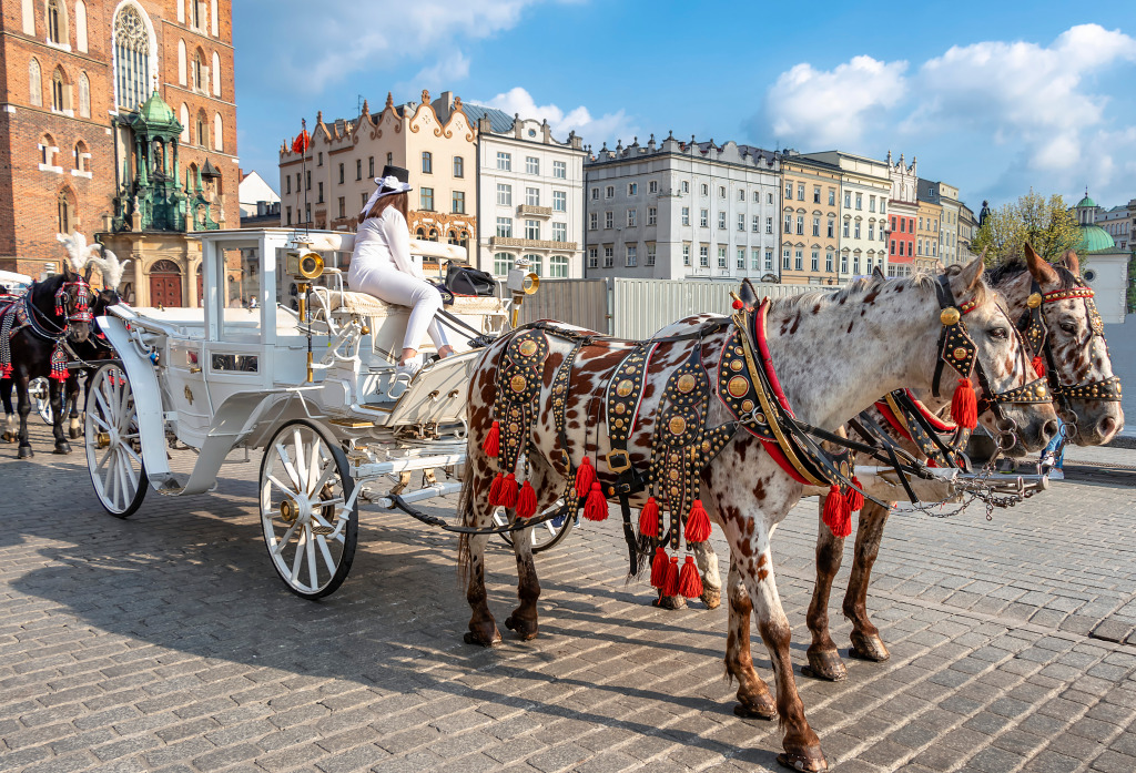 Horse Carriages, Krakow, Poland jigsaw puzzle in Animals puzzles on TheJigsawPuzzles.com